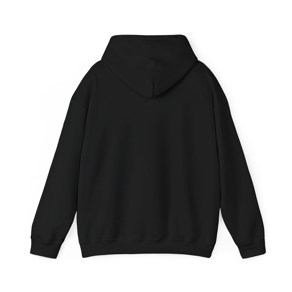 The Golden Spiral Hoodie — Pixel Threads, alternate view